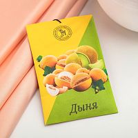 Саше ароматическое "Дыня" Богатство Аромата (10 г)