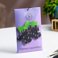 Саше ароматическое "Чёрная смородина" Богатство Аромата (10 г)