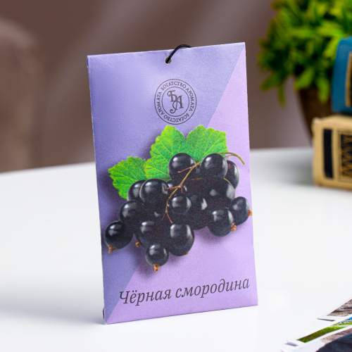 Саше ароматическое "Чёрная смородина" Богатство Аромата (10 г) Саше ароматическое "Чёрная смородина" Богатство Аромата (10 г)