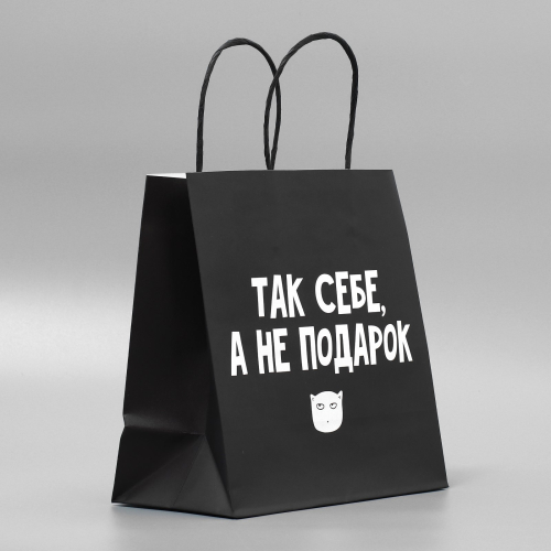 Пакет подарочный «Так себе Подарок», 22 × 22 × 11 см 3907837